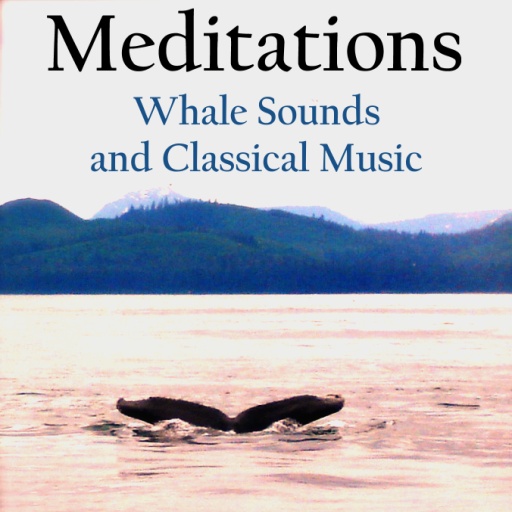 Audiobook - Whale Sounds and Classical Music
