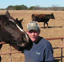 Hank Wilson
