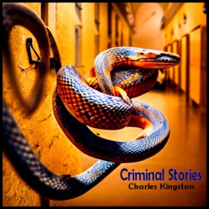 Criminal Stories Criminal Stories