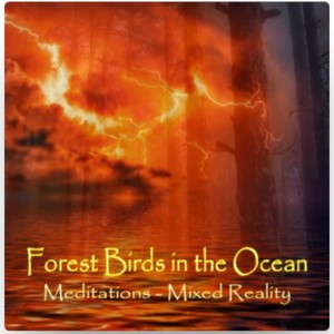 Forest Birds in the Ocean Audiobook Forest Birds in the Ocean – Meditations