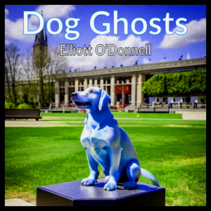 Dog Ghosts Audiobook Dog Ghosts