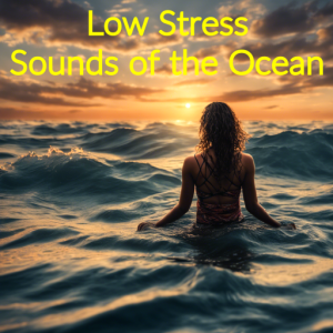 Low Stress Sounds of the Ocean (Meditation) Low Stress Sounds of the Ocean (Meditation)