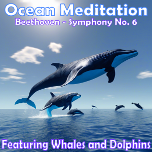 Ocean Meditation - Beethoven Symphony No 6